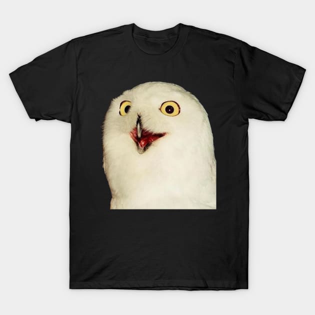 O RLY? Owl T-Shirt by FlashmanBiscuit